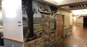 Professionally printed and installed wall graphics